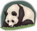 antonio9000