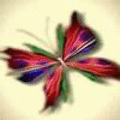 lily lily